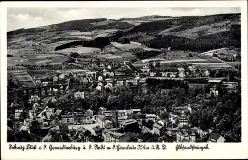 Ak Sebnitz in Sachsen, Blick von der Grenadierburg über die Stadt, Hornleite