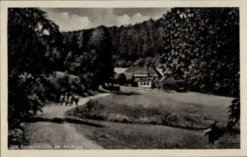 Ak Eisenberg in Thüringen, Froschmühle, Mühltal