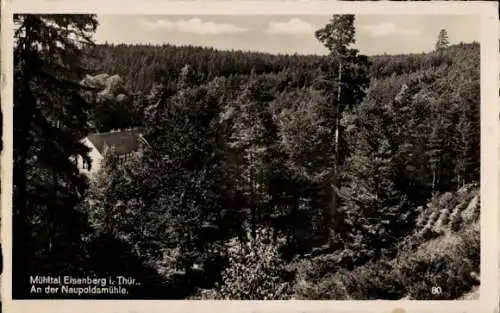 Ak Eisenberg in Thüringen, Mühltal, Naupoldsmühle