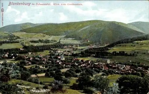 Ak Bad Blankenburg in Thüringen, Blick vom Greifenstein