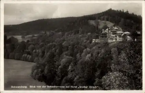 Ak Schwarzburg in Thüringen, Blick von der Schlossterrasse, Hotel Weißer Hirsch