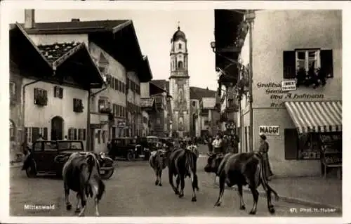 Ak Mittenwald in Oberbayern, Straßenpartie, Kühe, Geschäftshaus A. Hoffmann, Reklameschild Maggi