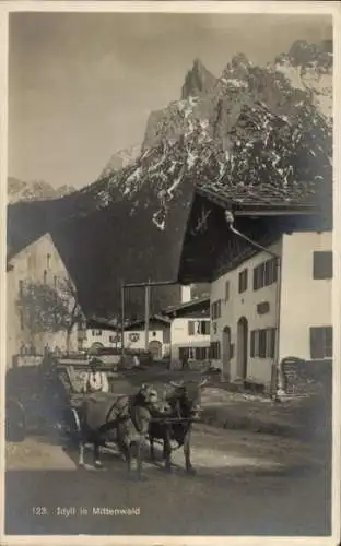 Ak Mittenwald in Oberbayern, Straße, Ochsenkarren