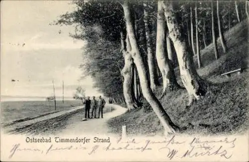 Ak Ostseebad Timmendorfer Strand, Weg am Waldrand