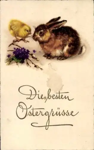 Ak Frohe Ostern, Osterhase mit Küken und Weidenkätzchen