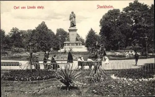 Ak Stockholm Schweden, Carl von Linnes staty