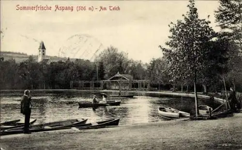 Ak Aspang Niederösterreich, Teich