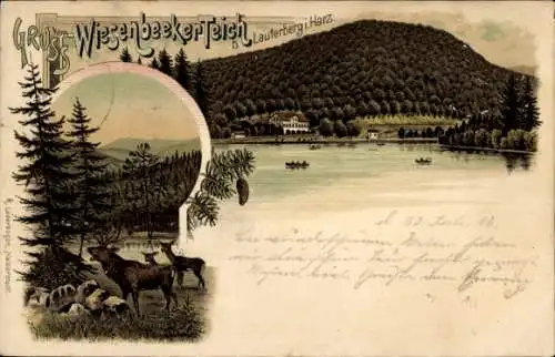 Litho Wiesenbek Bad Lauterberg im Harz, Wiesenbeker Teich