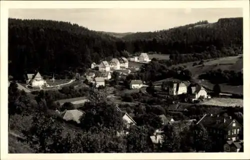 Ak Altenberg im Erzgebirge, Gesamtansicht