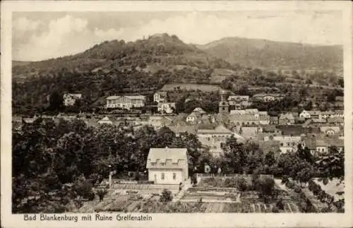 Ak Bad Blankenburg in Thüringen, Burg Greifenstein, Panorama