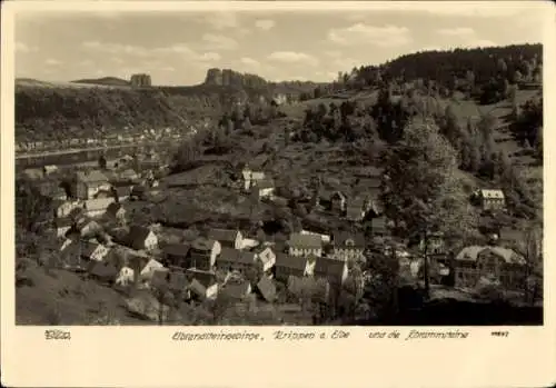 Ak Krippen Bad Schandau Sächsische Schweiz, Panorama, Elbsandsteingebirge