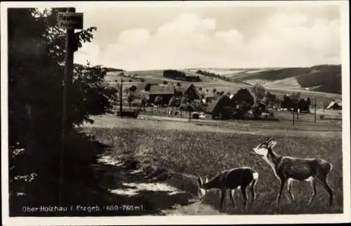 Ak Ober Holzhau Rechenberg Bienenmühle Erzgebirge, Panorama, Rehe