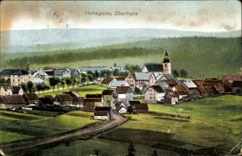 Ak Hohegeiß Braunlage im Oberharz, Panorama