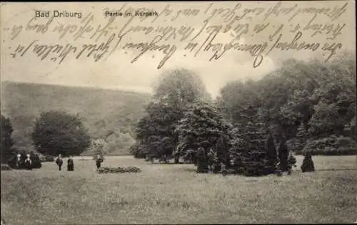 Ak Bad Driburg in Westfalen, Kurpark