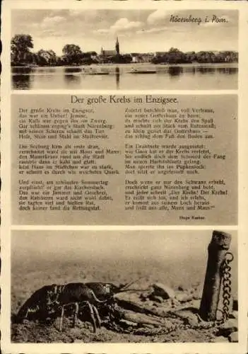 Gedicht Ak Ińsko Nörenberg Pommern, Gesamtansicht, Der große Krebs im Enzigsee, Hugo Kaeker