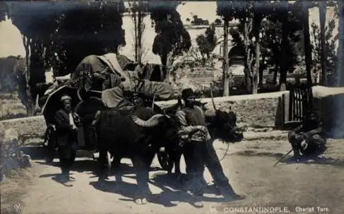 Ak Konstantinopel Istanbul Türkei, türkisches Rinderfuhrwerk