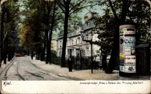 Ak Kiel in Schleswig Holstein, Düsternbrooker Allee und Palais des Prinzen Adalbert, Litfaßsäule