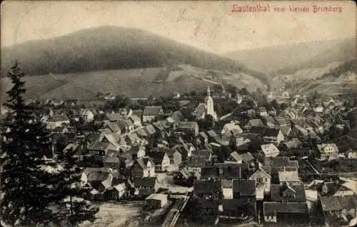 Ak Lautenthal Langelsheim im Oberharz, vom kleinen Bromberg aus gesehen