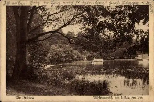 Ak Groß Köris im Kreis Dahme Spreewald, Die Dubrow, Wildromantik am Hölzernen See