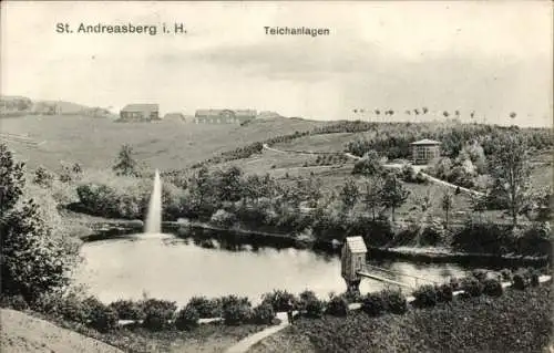 Ak Sankt Andreasberg Braunlage im Oberharz, Teichanlagen