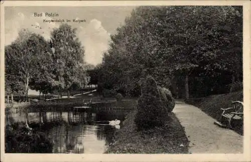 Ak Polczyn Zdrój Bad Polzin Pommern, Karpfenteich im Kurpark