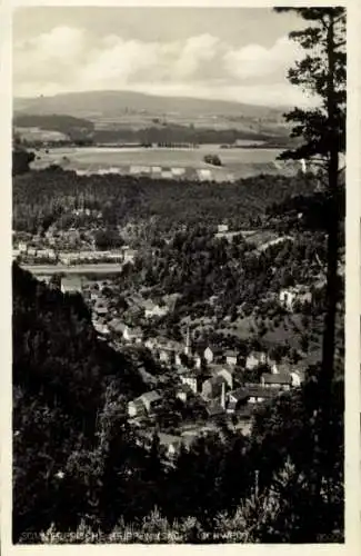 Ak Krippen Bad Schandau Sächsische Schweiz, Panorama