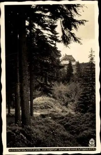 Ak Altenberg Erzgebirge, Berghof Raupennest, Walter Hahn 6732