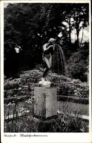 Ak Hansestadt Rostock, Brunnen