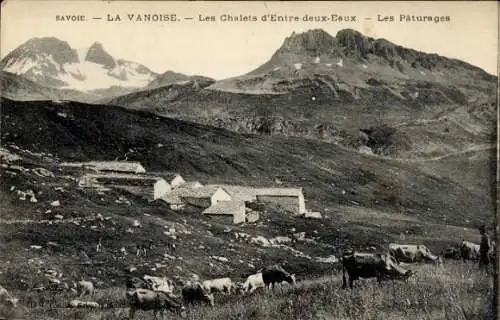 Ak La Vanoise Savoie, Chalets d'Entre-deux-Eaux, Weide, Kühe