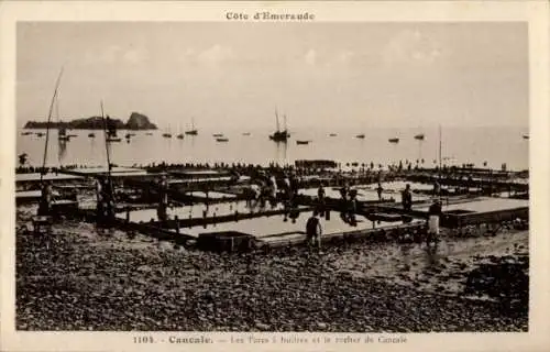 Ak Cancale Ille et Vilaine, Le Parcs a huitres et le rocher de Cancale