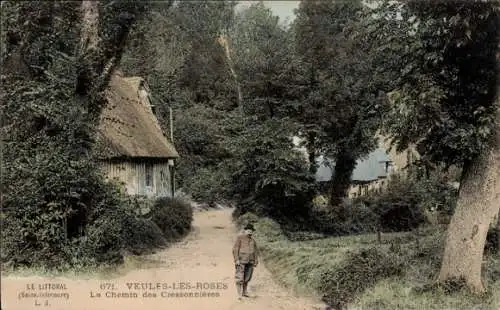 Ak Veules les Roses Seine-Maritime, Chemin des Cressonnieres