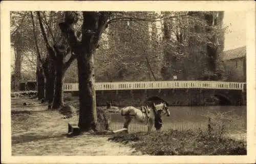 Ak Isle de Noe, Pont-Neuf sur la Petite Baise