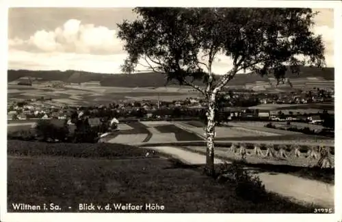 Ak Wilthen in der Oberlausitz, Panorama, Blick von der Weifaer Höhe