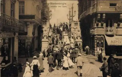 Ak Blankenberghe Westflandern Belgien, Die Löwentreppe