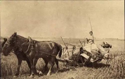 Ak Landwirtschaft, Ackerarbeit, Pferde, Bauern