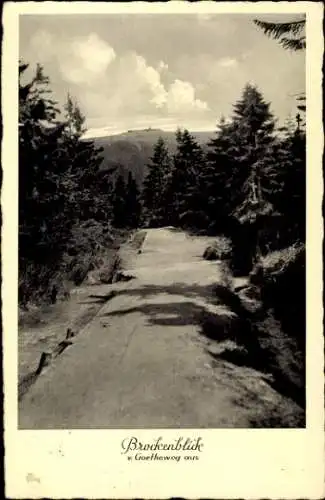 Ak Brocken im Harz, Blick vom Goetheweg