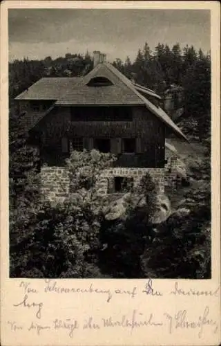 Ak Haidmühle Bayrischer Wald Niederbayern, Dreisessel, Unterkunftshaus, Blick vom Dreisesselfelsen