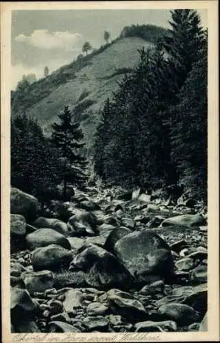 Ak Oker Goslar am Harz, Okertal, Panorama, Waldhaus