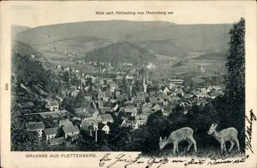 Ak Plettenberg im Sauerland Westfalen, Gesamtansicht, Rehe