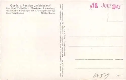 Ak Dillstein Sonnenberg Pforzheim im Schwarzwald, Fliegeraufnahme, Gasth. u. Pension Waldeslust