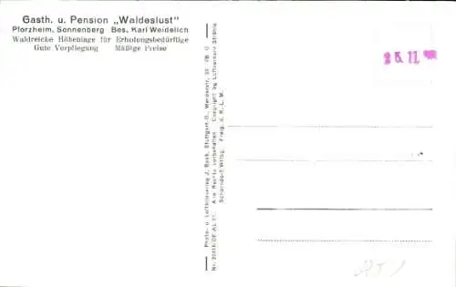 Ak Dillstein Sonnenberg Pforzheim im Schwarzwald, Fliegeraufnahme, Gasth. u. Pension Waldeslust