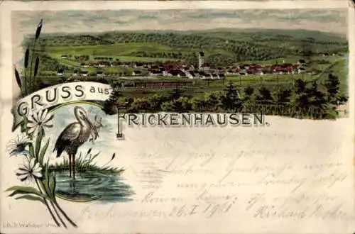 Litho Frickenhausen am Neckar Württemberg, Panorama, Storch mit Baby