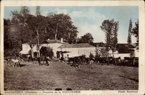 Ak Barbezieux Saint Hilaire Charente, Domaine de la Foucaudrie