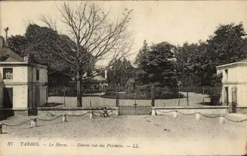 Ak Tarbes Hautes Pyrénées, Gestüt, Eingang rue des Pyrenees