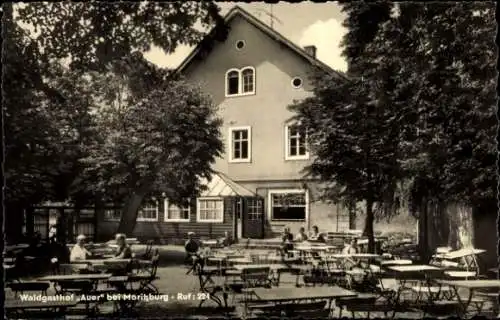 Ak Moritzburg in Sachsen, Waldgasthof Auer, Terrasse