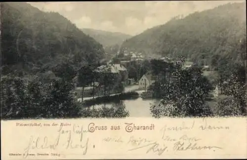 Ak Tharandt im Erzgebirge, Teilansicht