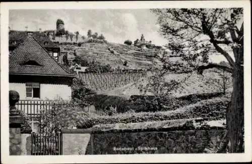 Ak Radebeul in Sachsen, Spitzhaus