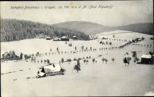 Ak Rehefeld Zaunhaus Altenberg im Erzgebirge, Panorama, Winteransicht