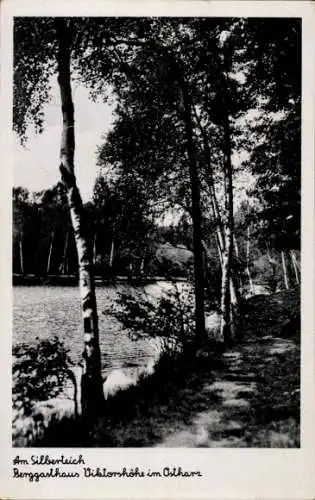 Ak Gernrode Quedlinburg im Harz, Viktorshöhe, Silberteich