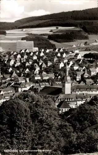 Ak Meschede im Sauerland, Hennesee, Panorama